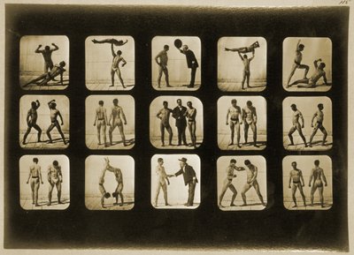 「動物の移動」シリーズ、1881年頃のアスリートの姿勢 作： Eadweard Muybridge
